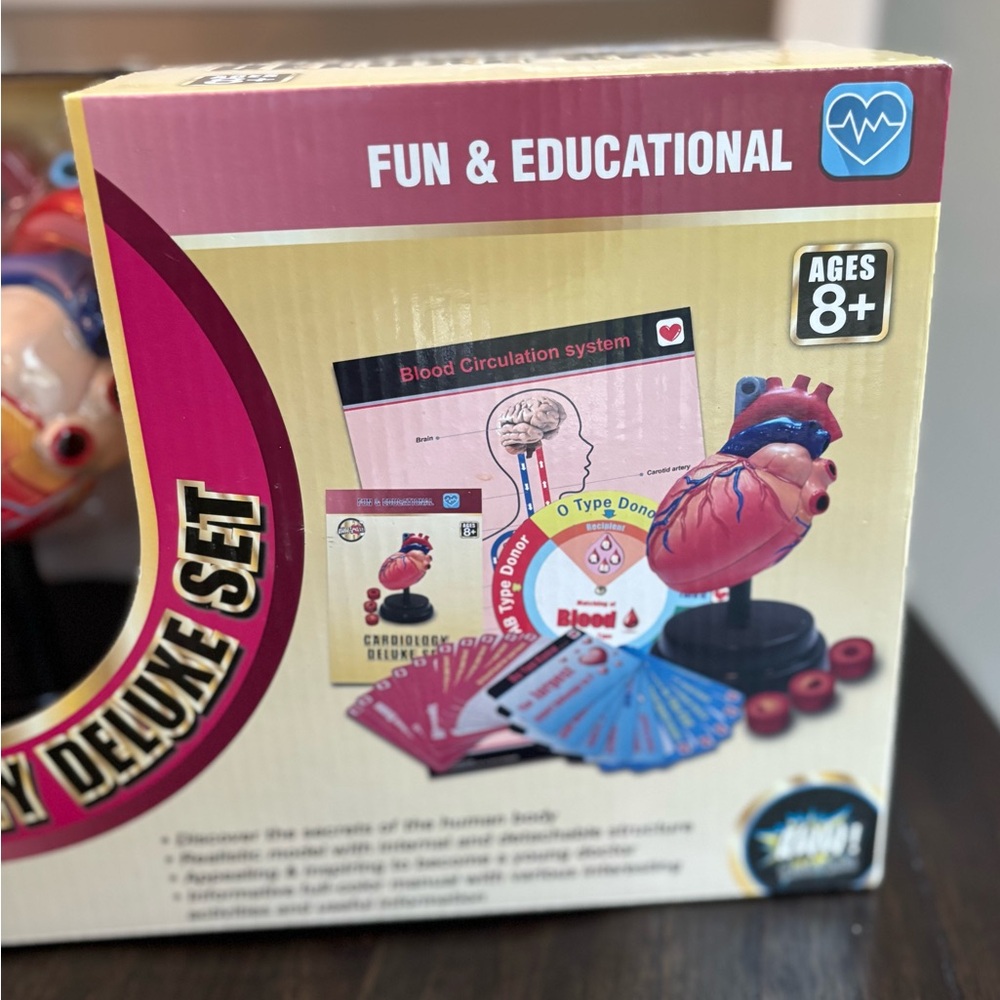 Cardiology Deluxe Set Educational Toy Ages 8+ - Picture 3 of 10